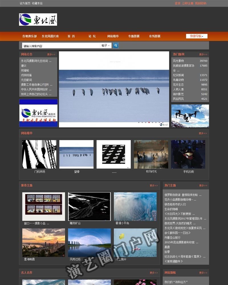 门户 -  Powered by Discuz!截图